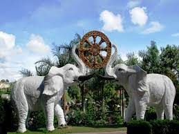 Kisah Gajah Putih yang Menghiasi Masyarakat Indonesia