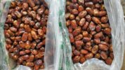 Indonesia Impor 19,39 Ribu Ton Kurma dari Mesir untuk Ramadhan 2025