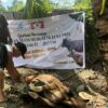 Salurkan 14 Sapi Kurban, Bupati Andi Utta Apresiasi KM Bulukumba