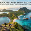 The Ultimate Guide to Komodo Island Tour Packages from Labuan Bajo